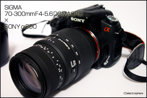 SONY　α300画像×SIGMA（シグマ） 70-300mm F4-5.6の画像