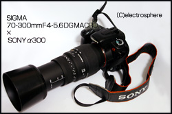 SONY　α300画像×SIGMA（シグマ） 70-300mm F4-5.6の画像
