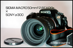 SONY　α300画像×シグマ50mm2.8マクロの画像
