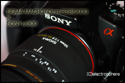 SONY　α300画像×シグマ50mm2.8マクロの画像