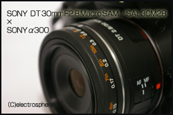 SONY　α300画像×SONY DT 30mm F2.8 Macro SAM の画像