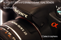 SONY　α300画像×SONY DT 30mm F2.8 Macro SAM の画像