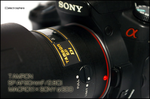 SONY　α300画像×TAMRON SP AF90mm F2.8 Di MACRO 1:1の画像
