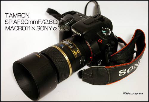 SONY　α300画像×TAMRON SP AF90mm F2.8 Di MACRO 1:1の画像