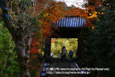 京都高台寺観光案内フォトギャラリー