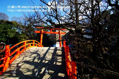 京都　下賀茂神社/糺の森　御手洗川と輪橋