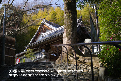 京都/鈴虫寺/suzumushi temple