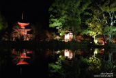 京都大覚寺/真紅の水鏡の壁紙